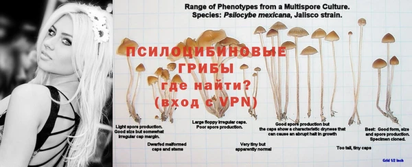 соль курить ск Вязники